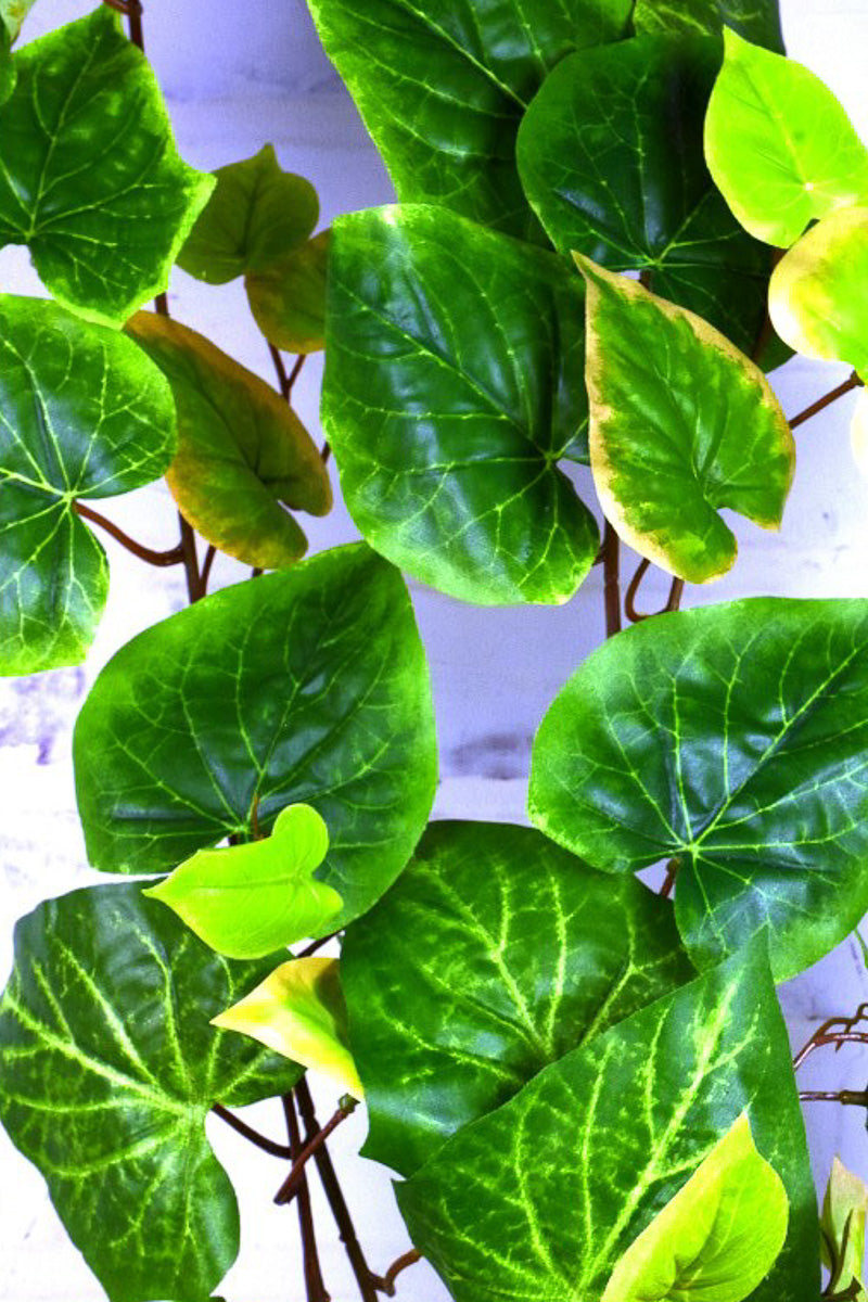 SILK BUSH POTATO VINE HNG 36"