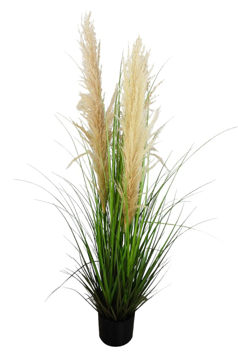 SILK DRIED PAMPAS W/POT 48"