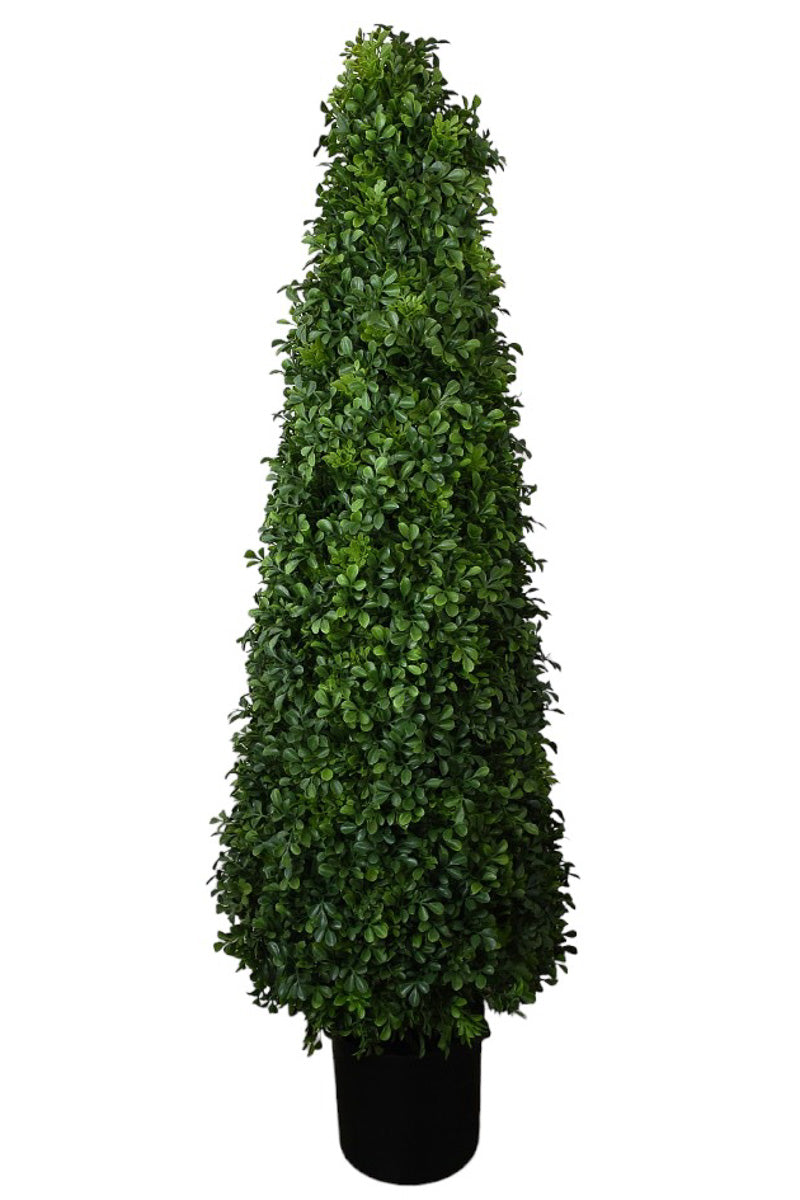 Faux UV Boxwood Tree Potted 49"
