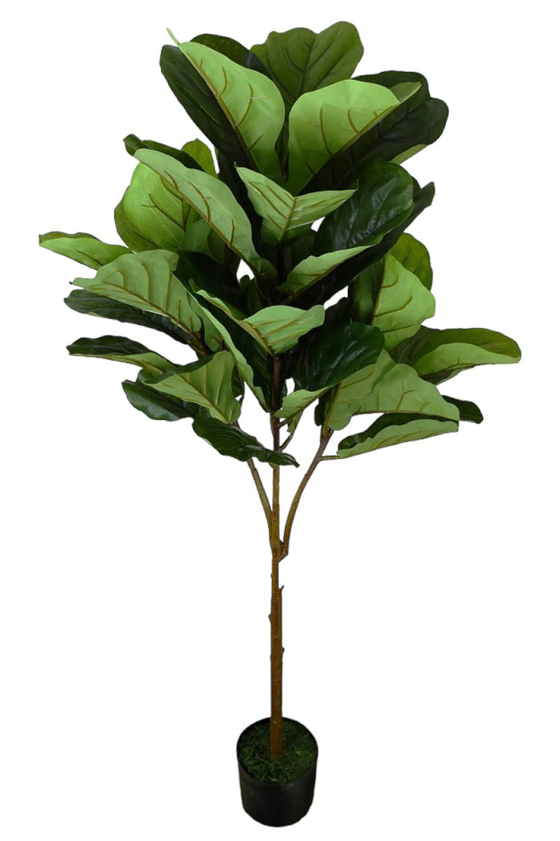 SILK FIDDLE LEAF FIG TREE 4.5'