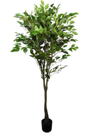 SILK NEW FICUS TREE POTTED 5'