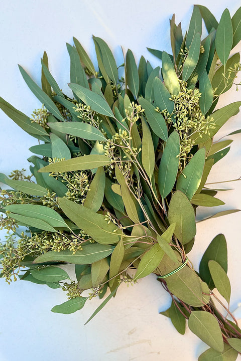 Eucalyptus, Seeded with Leaves Natural