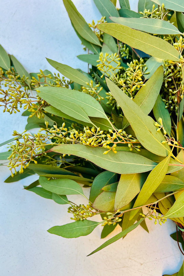 Eucalyptus, Seeded with Leaves Natural