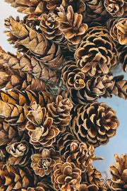 Wreath, Natural Pinecone