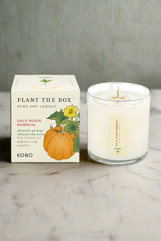 KOBO Half Moon Pumpkin Plant the Box Candle 9 oz