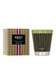 Nest Classic Candle Pistachio & Wild Fig 8.1 oz