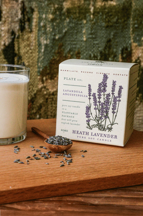 KOBO Heath Lavender Plant the Box Candle 9 oz