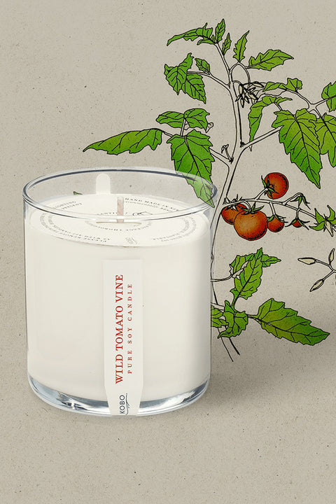 KOBO Wild Tomato Vine Plant the Box Candle 9 oz