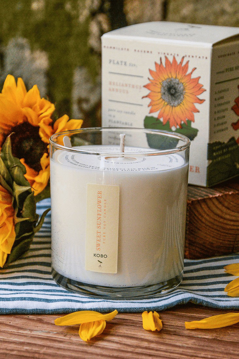 KOBO Sweet Sunflower Plant the Box Candle 9 oz