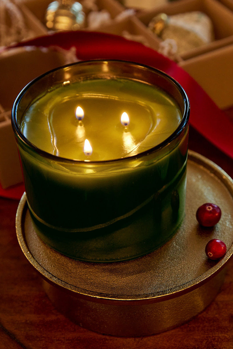 Thymes Frasier Fir Pine Needle Poured Candle Green 3-Wick