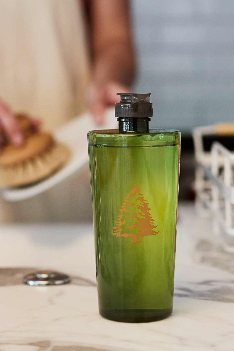 Thymes Frasier Fir Dishwashing Liquid