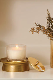 Thymes Gilded Candle Fraiser Fir Frosted Wood Grain Medium