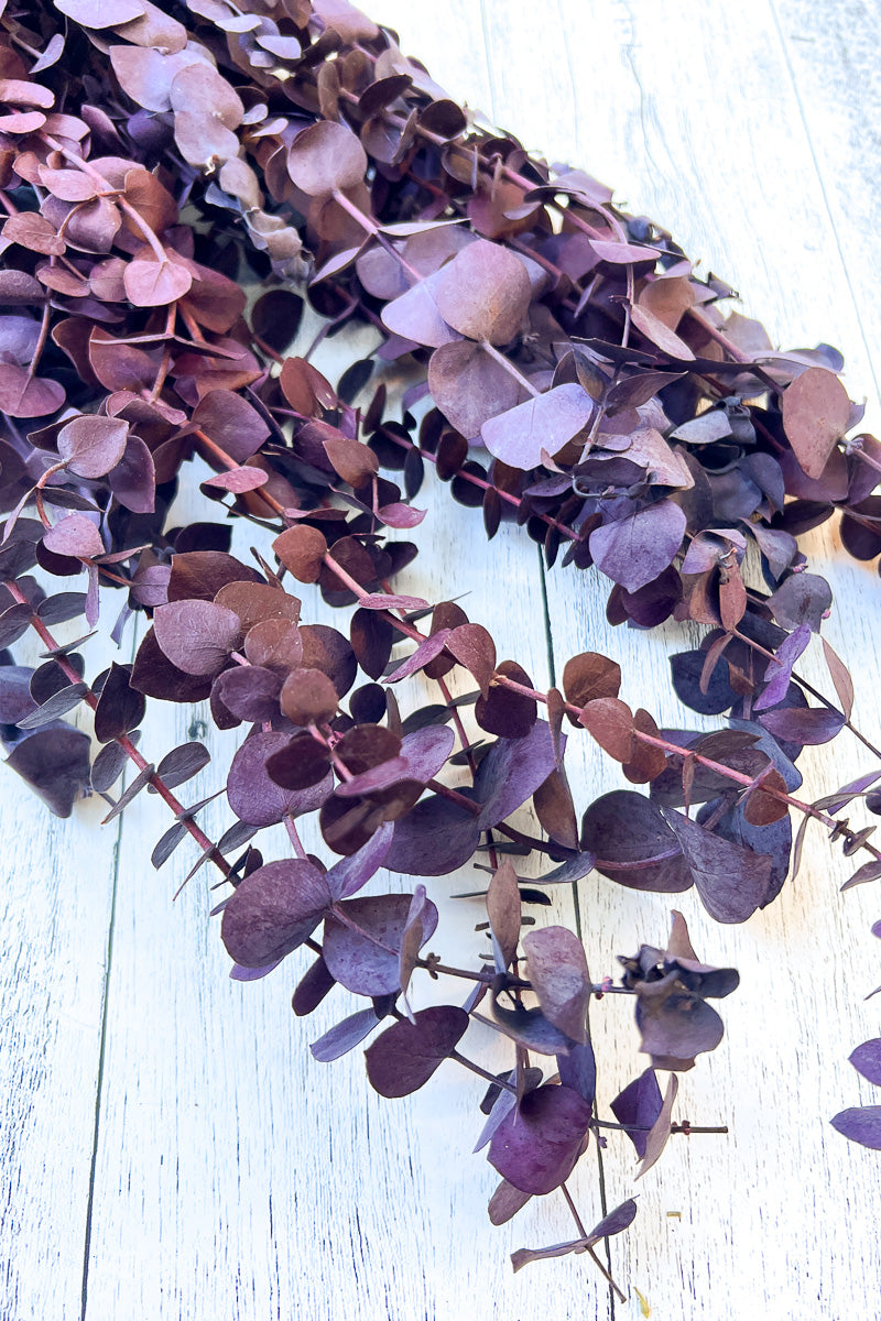 Eucalyptus Preserved Plum Bunch