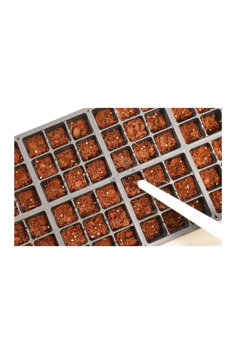 PlantBest 72-Cell Greenhouse Seed Starter Kit