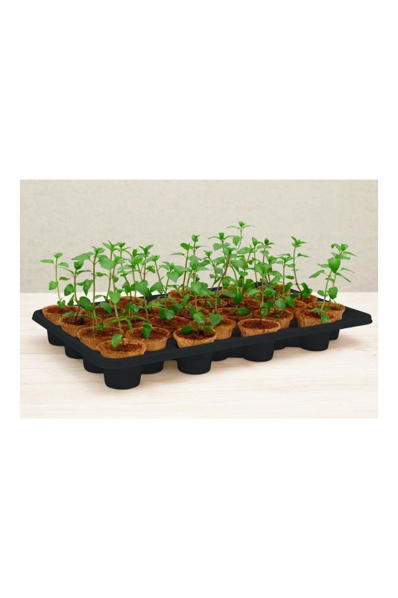 PlantBest Self-Watering System Kit 28 Coir Pots
