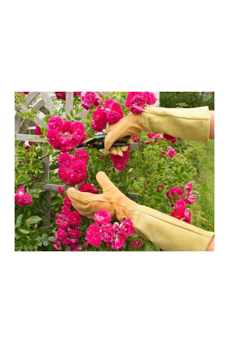 Womanswork Leather Gauntlet Gloves - Thumbnail 2