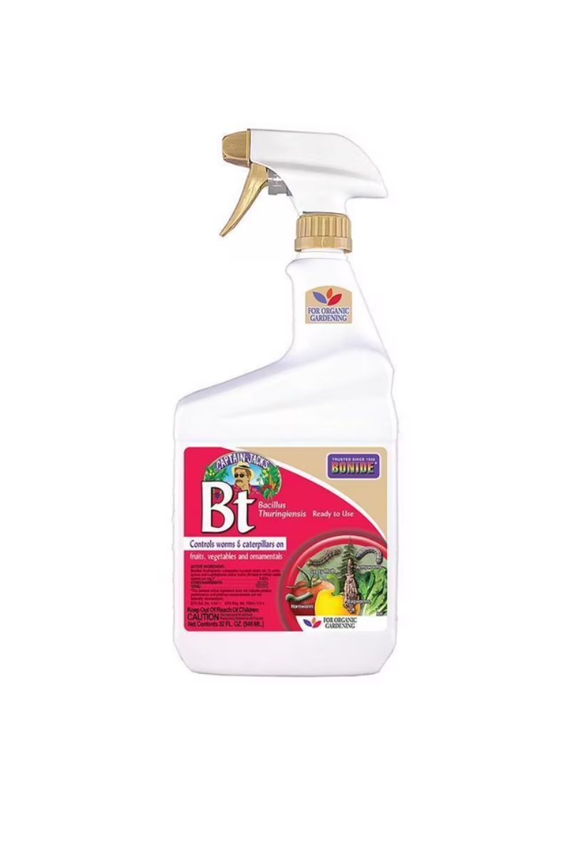 bt spray for garden Captain Jack Bt Thuricide RTU