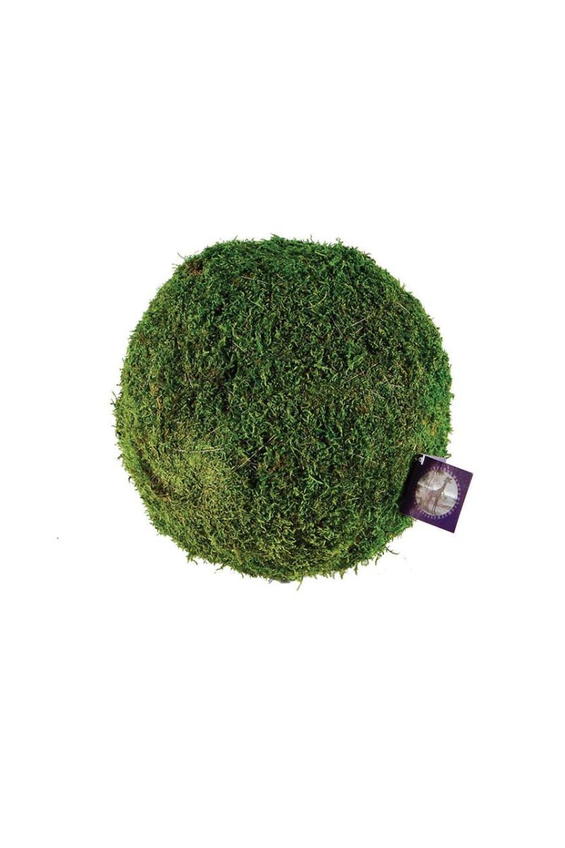 SuperMoss Moss Ball 6"