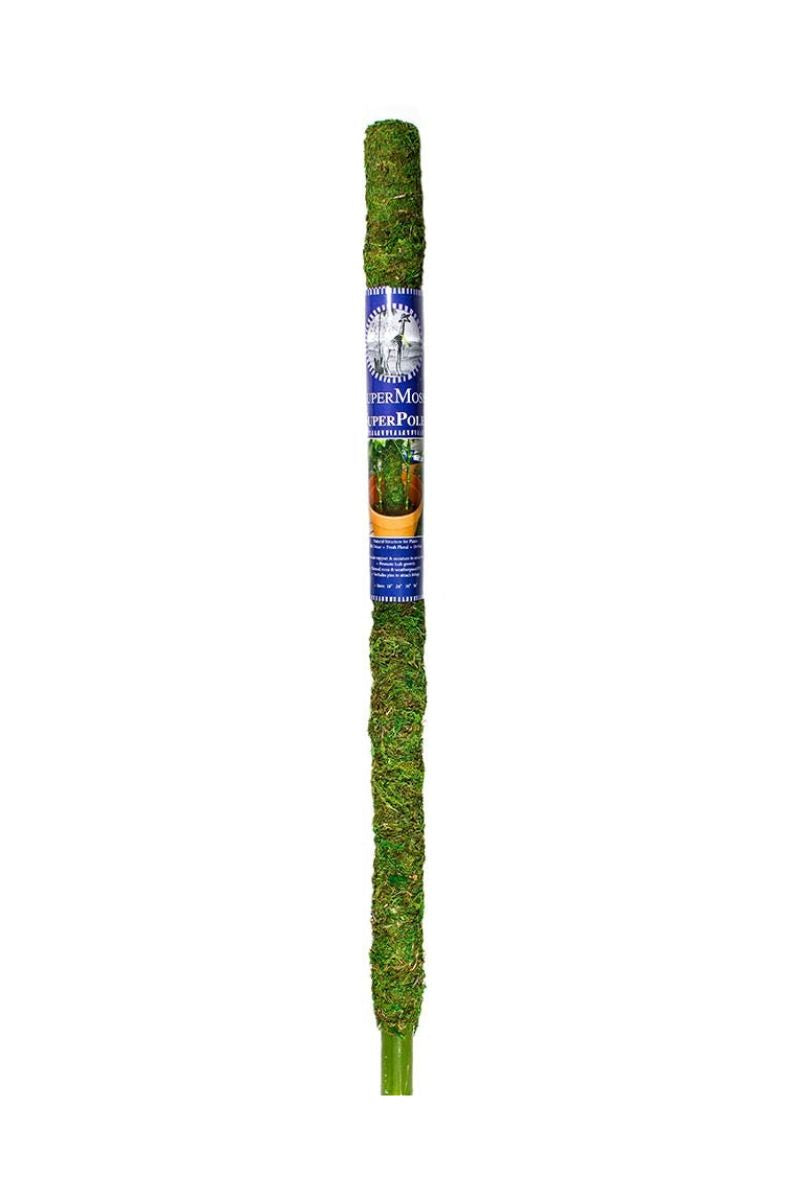 SuperMoss Moss Pole 36"