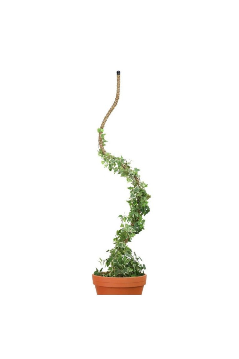 Mossify Bendable Coir Pole