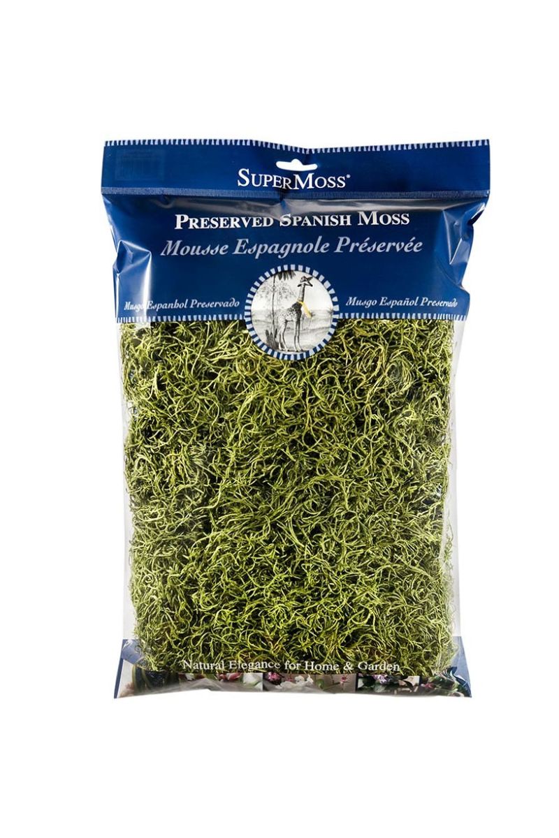 SuperMoss Preserved Spanish Moss Basil 8 oz