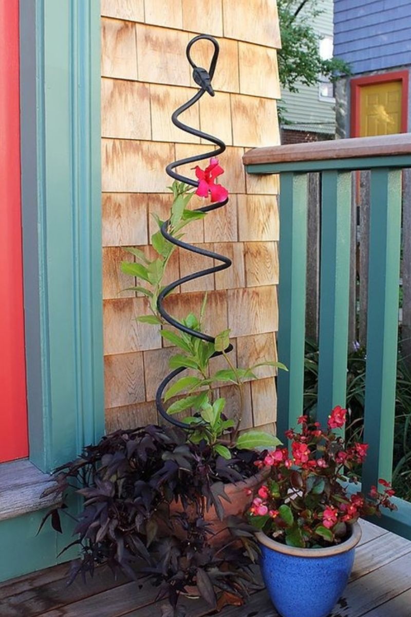 Achla Spiral Trellis Black