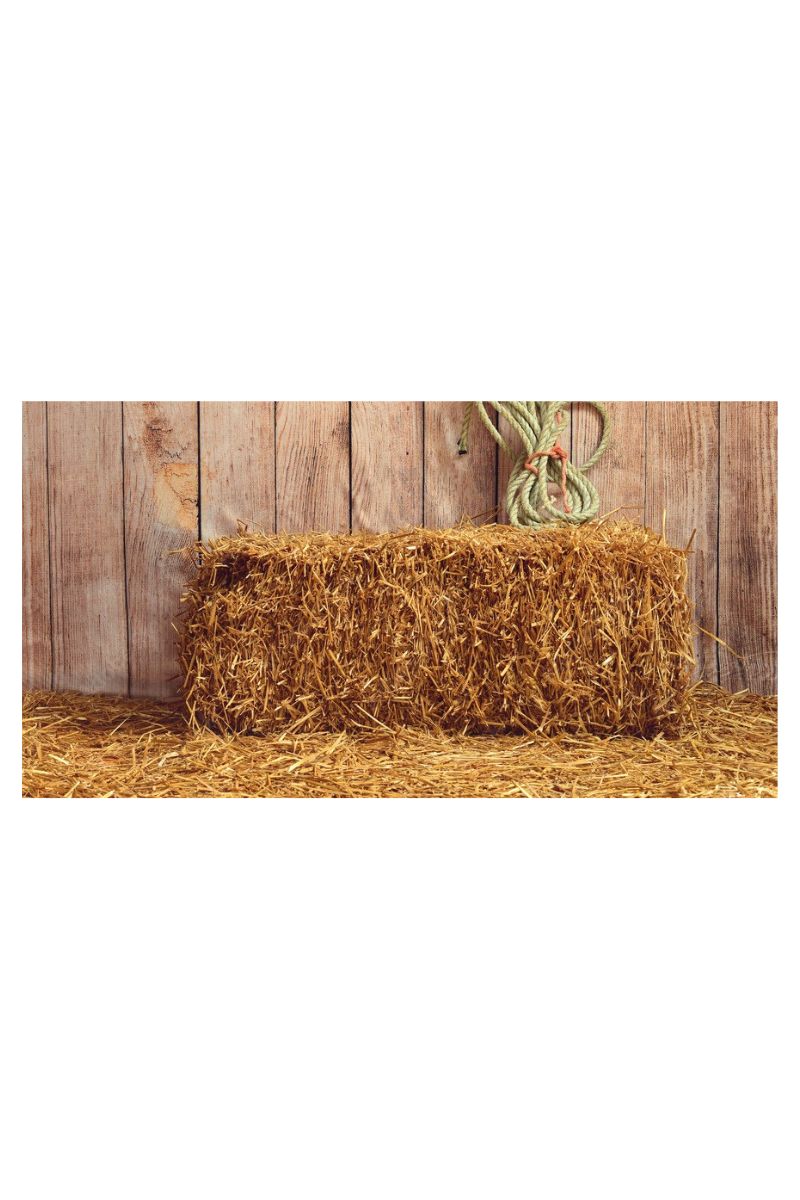 Straw Bale (36x20x16)