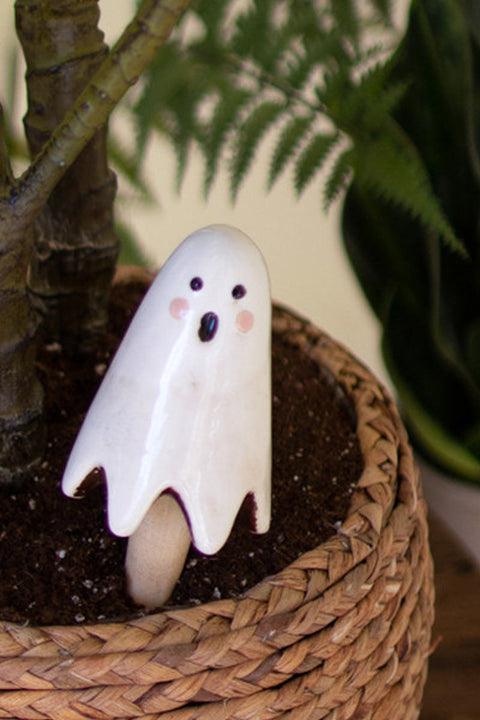 Ceramic Ghost Plant Sticks | Small