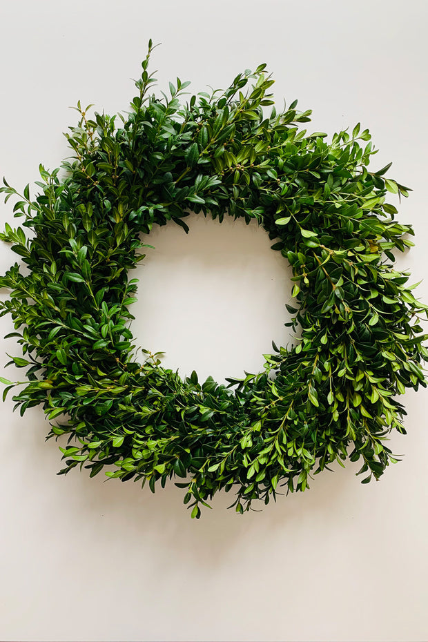 Wreath, Boxwood 16"