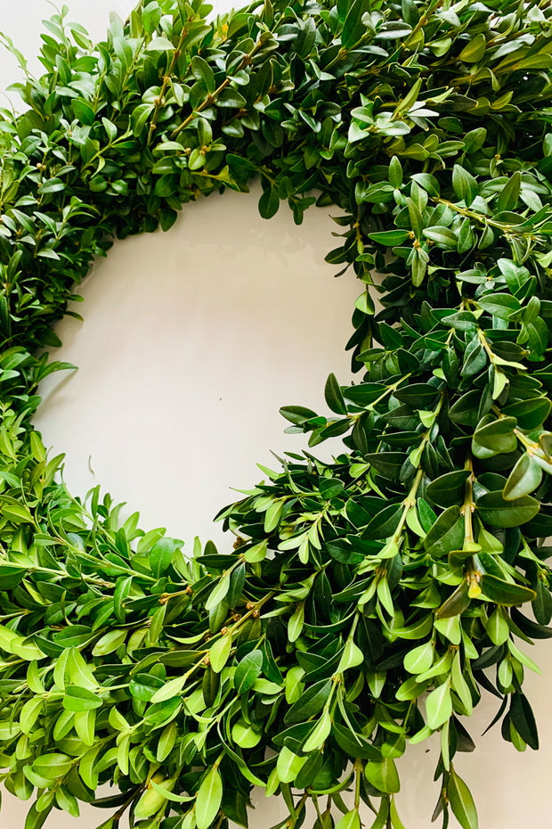 Wreath, Boxwood 24"