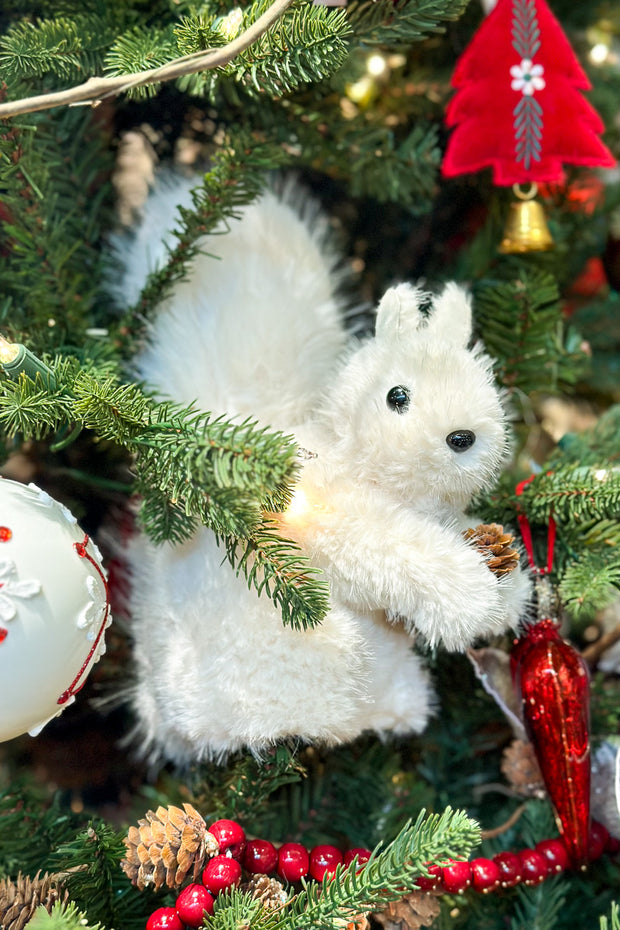 White Furry Squirrel