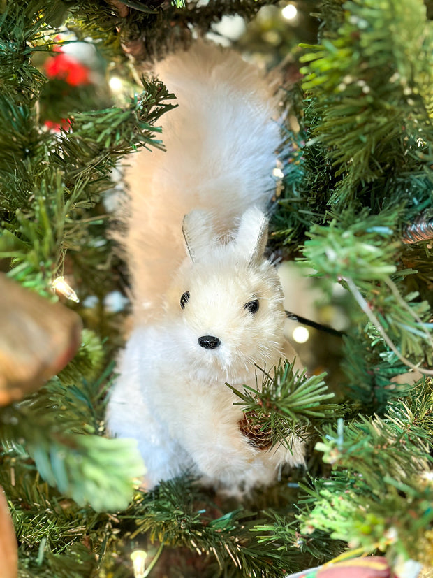 White Furry Squirrel