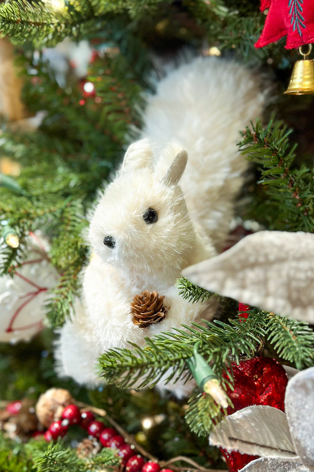 White Furry Squirrel