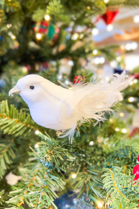 Curly Feather Bird with Clip 6" White Iridescent Assorted