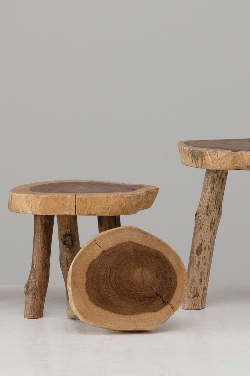 Creative Co-Op Madre De Cacao Live Edge Wood Pedestal Natural Medium