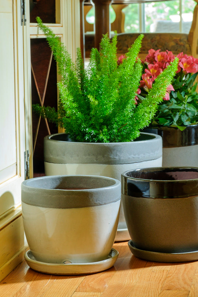 Alfresco Chic Collar Planter With Saucer Small Grey