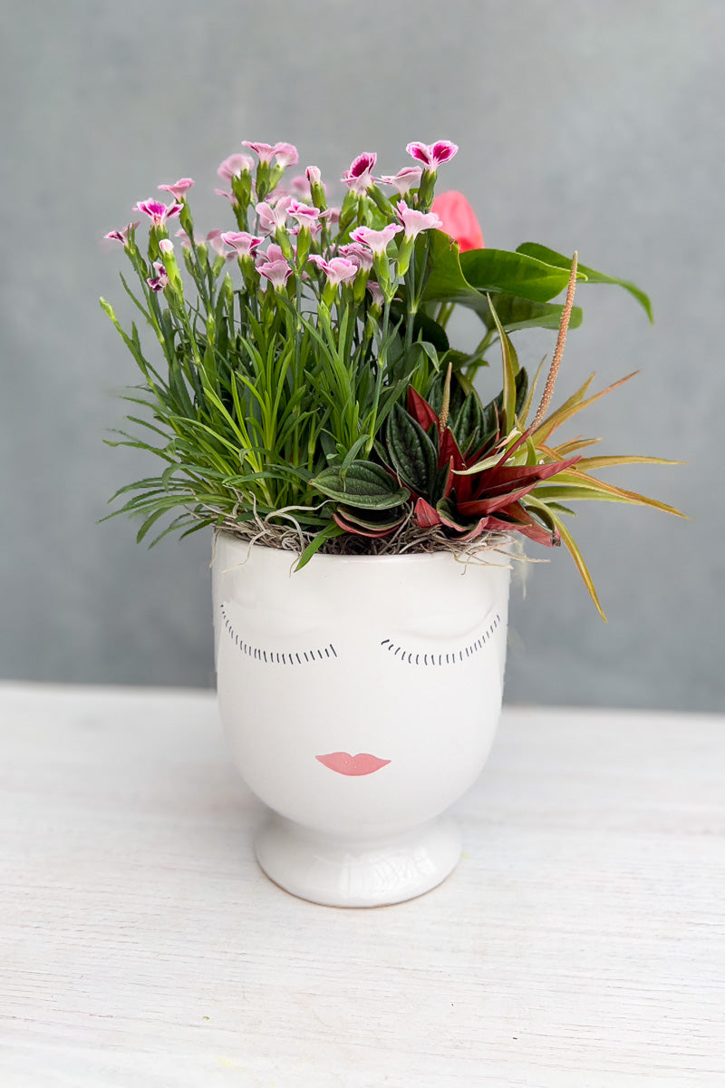 Chalet Signature Flowering Celfie 6"