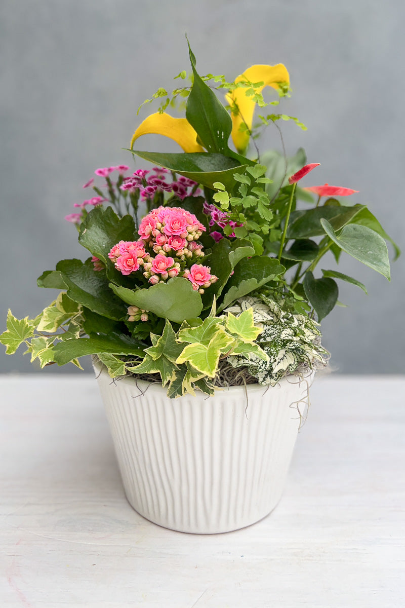 Chalet Signature Flowering Sinclair Cachepot