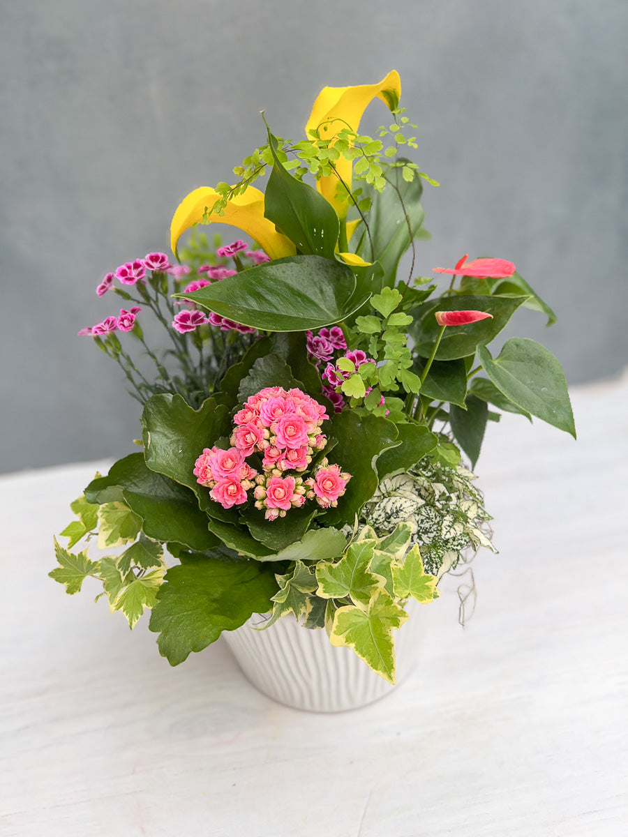 Chalet Signature Flowering Sinclair Cachepot