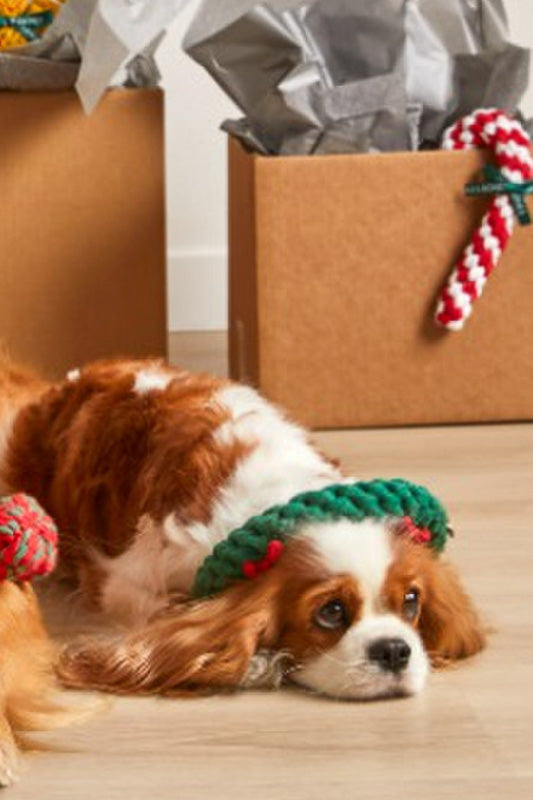 Jax & Bones Holiday Ring Large 7"