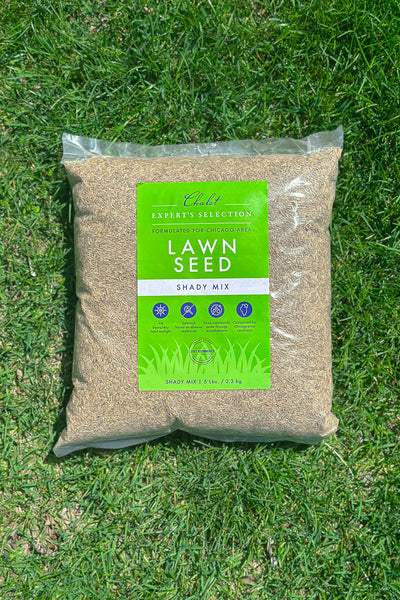 plant grass seed chicago Chalet Lawn Seed Shady Mix 5 lb