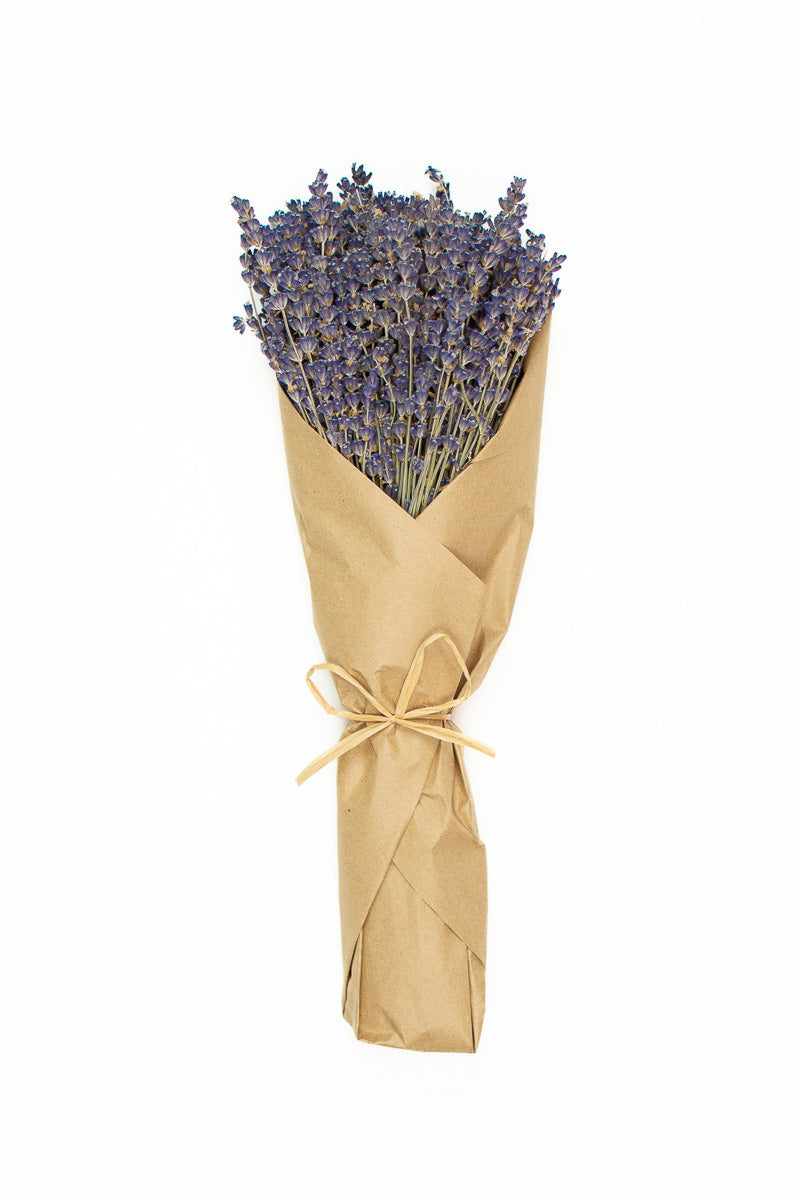 Preserved French Lavender