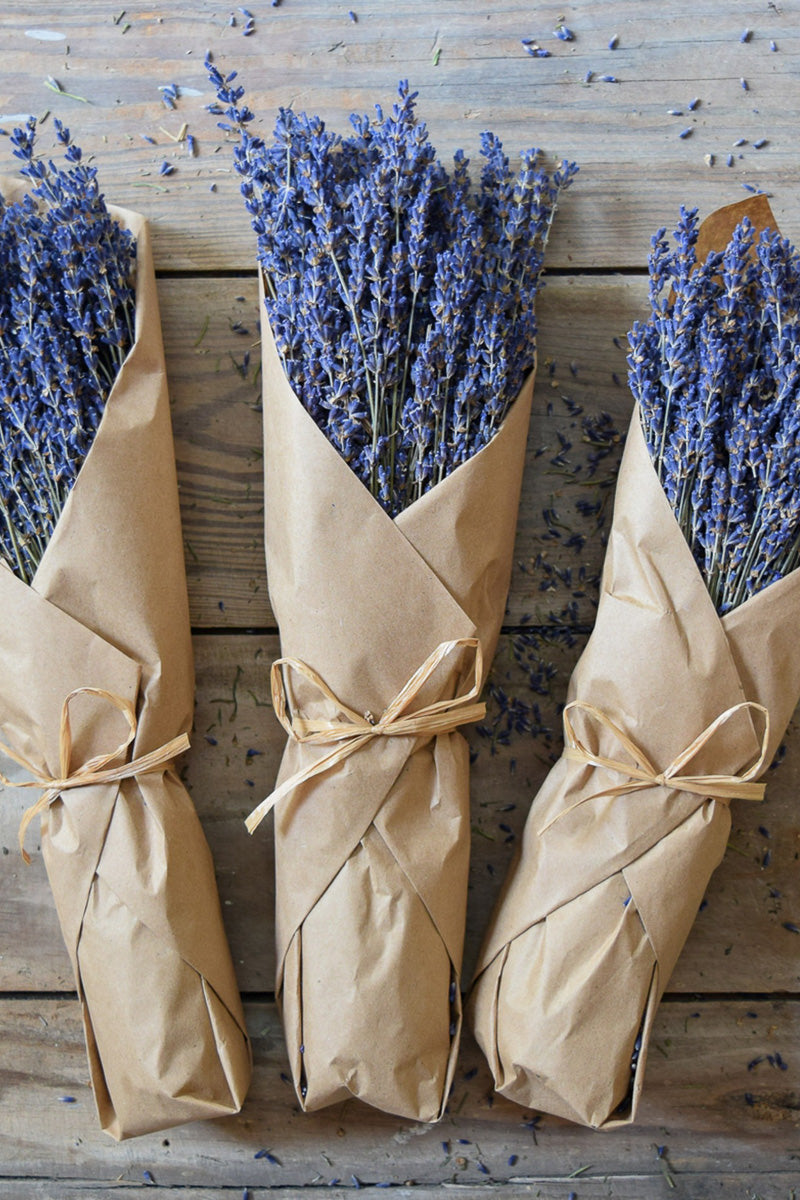 Preserved French Lavender