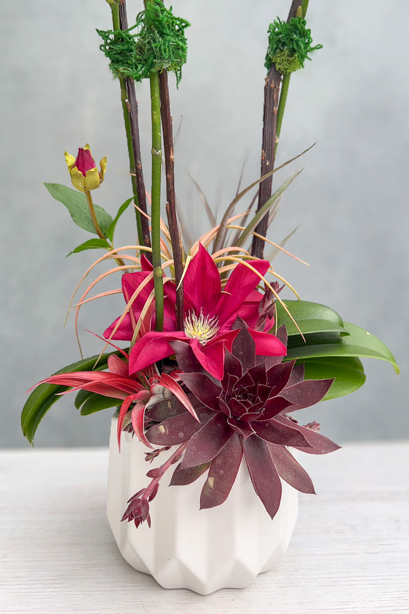 PRE-ORDER Chalet Signature Alluring Mother's Day Orchid 5"