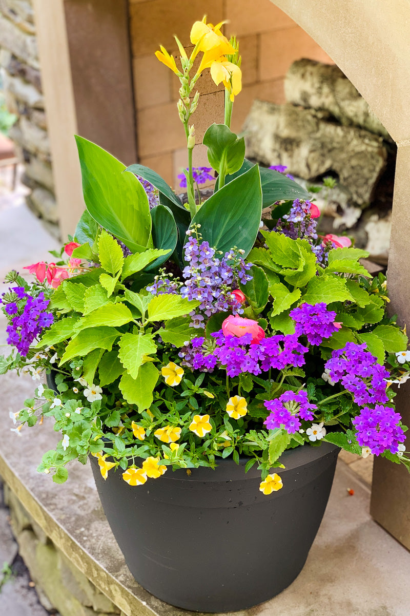 Chalet Signature | Outdoor | Summer Classic & Fresh Sun