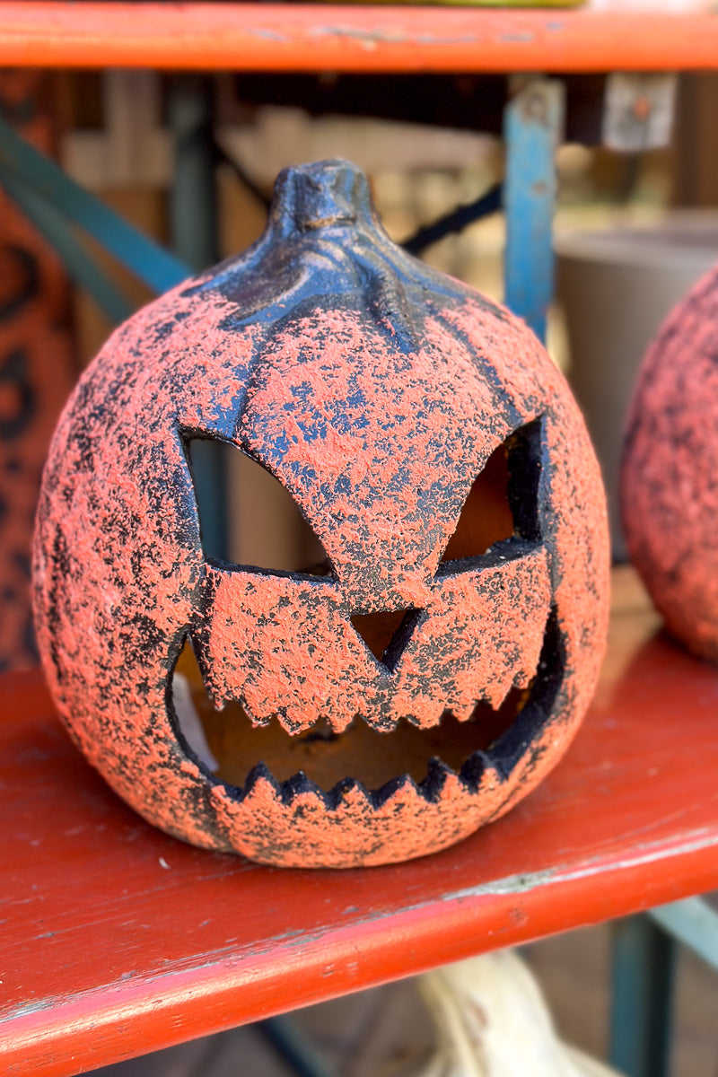 Count Jack Mini Pumpkin
