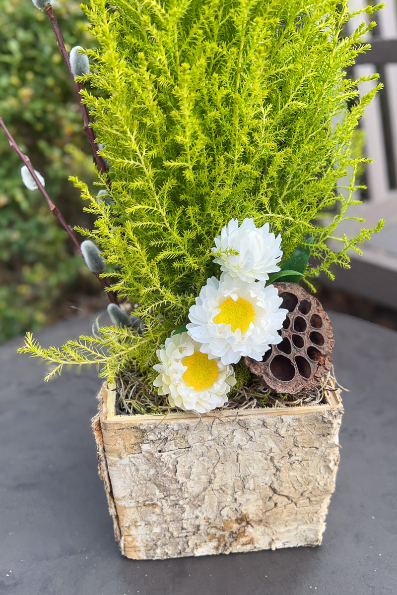 Chalet Signature Lemon White Birch