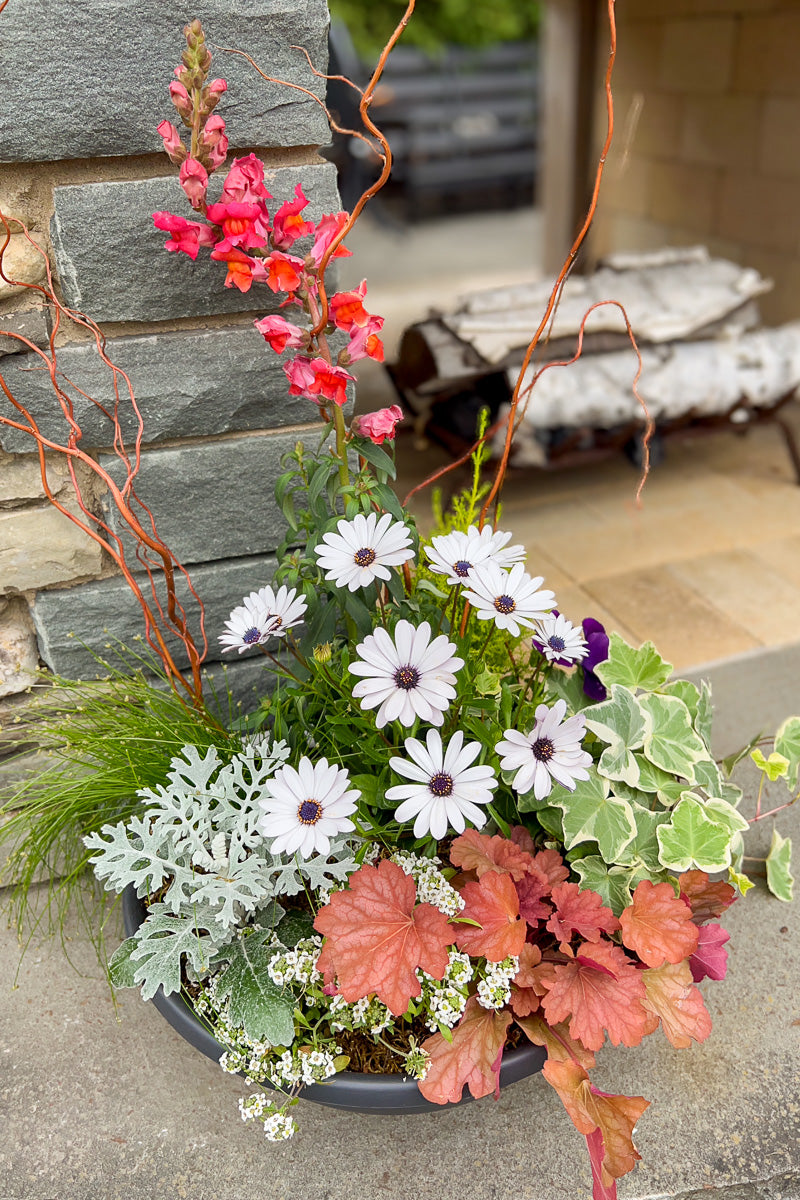 Chalet Signature Happy Spring Bowl 14"