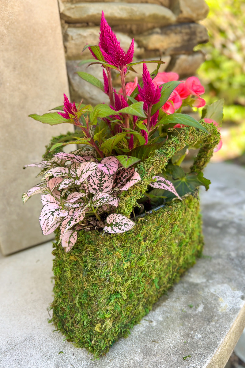 Chalet Signature Mossy Medium Purse 6"