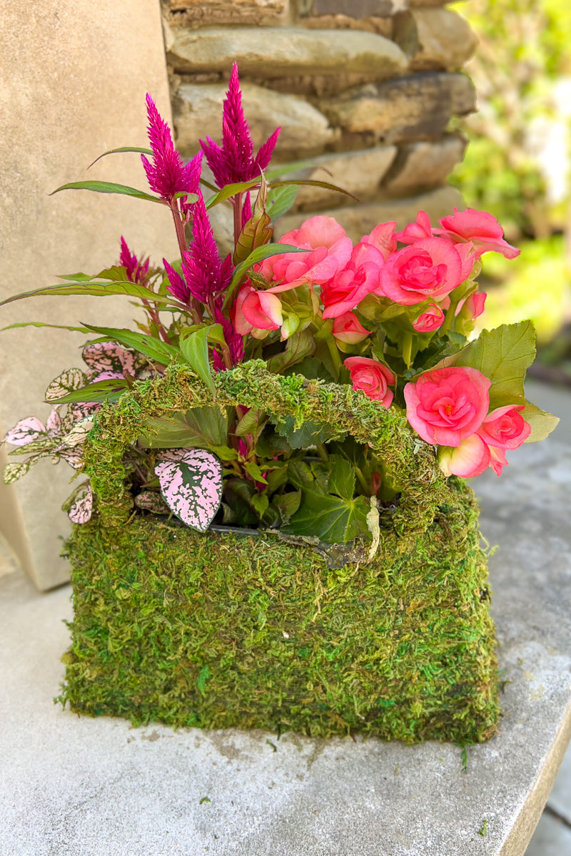 Chalet Signature Mossy Medium Purse 6"